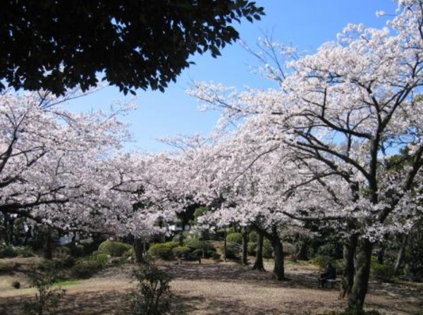 横浜市西区霞ケ丘のアパート(横浜市野毛山公園)