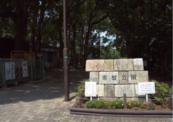 コスモ横浜常盤台公園(常盤公園)