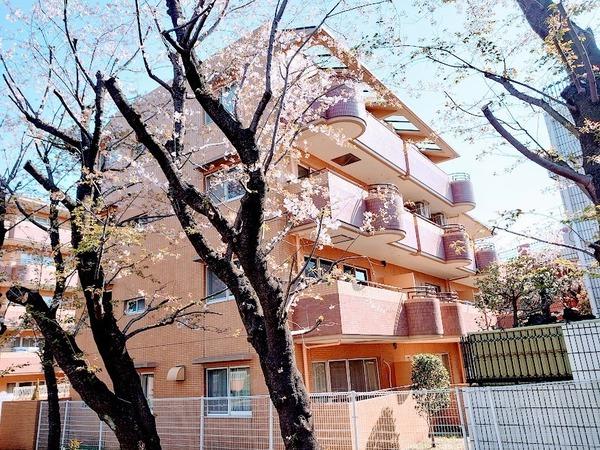 横浜市保土ケ谷区峰沢町のマンション