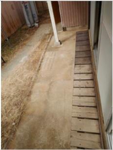 土志田貸家(庭)