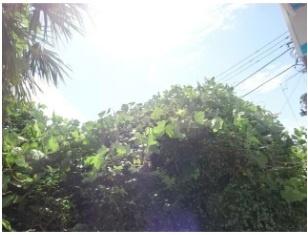 横浜市保土ケ谷区霞台のアパート