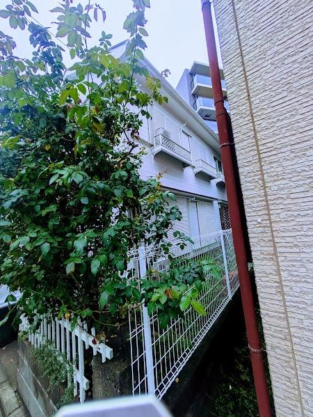 TS横浜第一(その他)