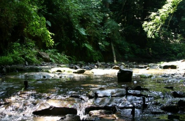 パンテオン西谷(陣ケ下渓谷公園)