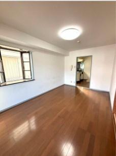 グレースサエグサ