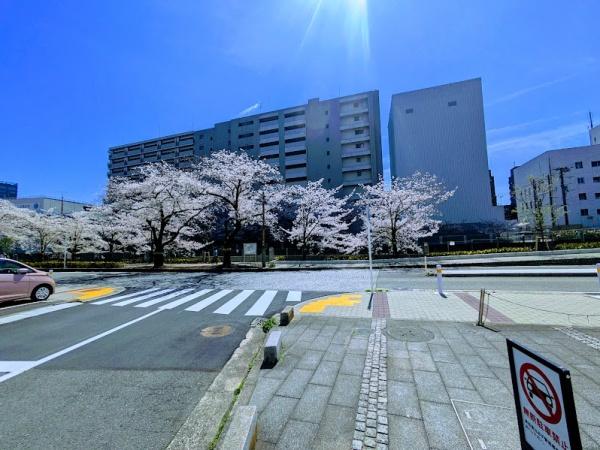 コパールーフ