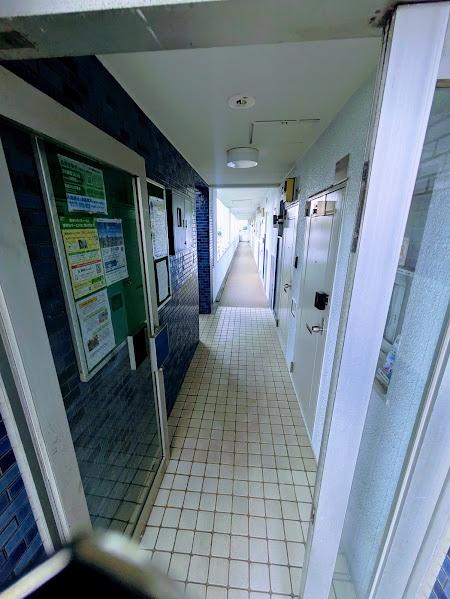ダイアパレス妙蓮寺