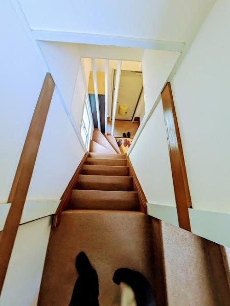 横浜市西区御所山町の貸家