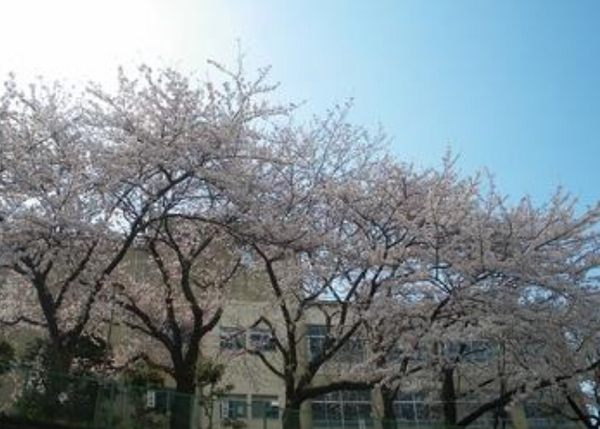 横浜市南区永田台のマンション(横浜市立六ツ川中学校)