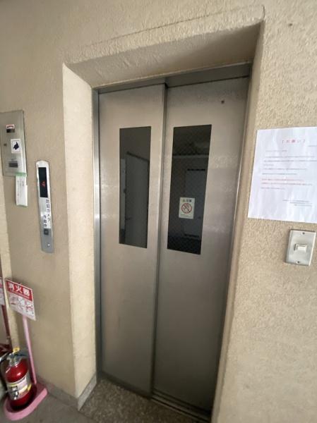 アイネ・シェーネブルグ