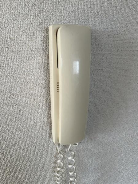 フレジール・ツヂ