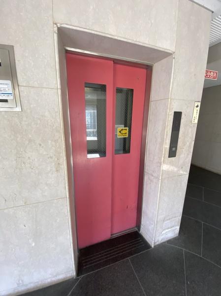 キャピタル・キダ