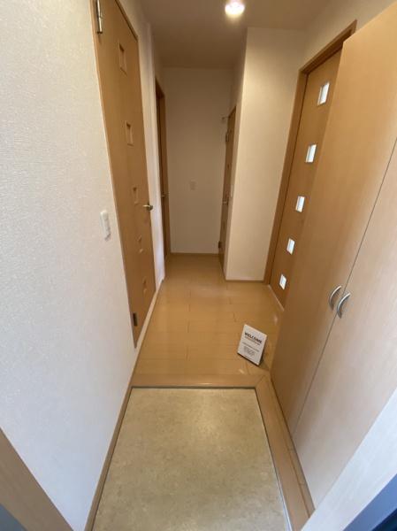 パレット