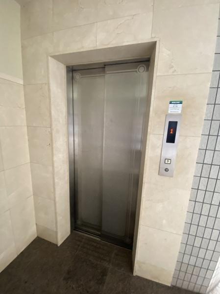 グレイスドエル