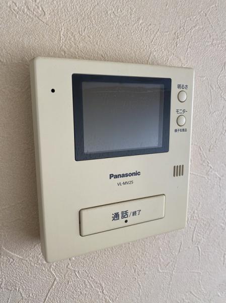 パープルソシア