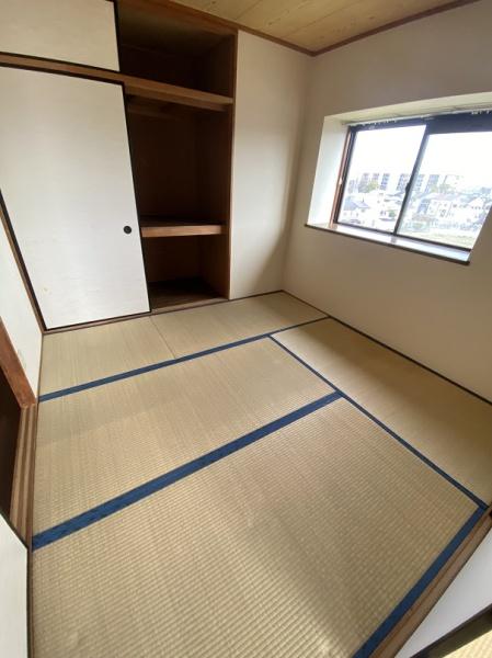 パープルソシア