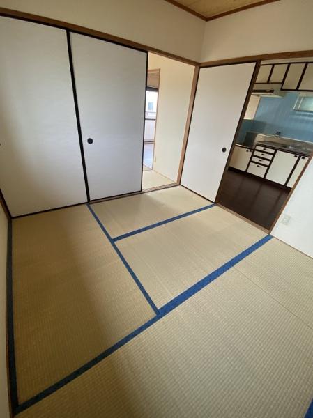 パープルソシア