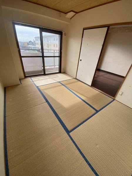 パープルソシア
