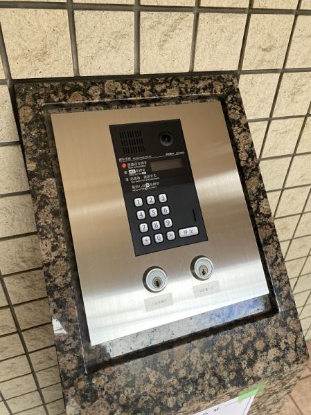 パレビバス
