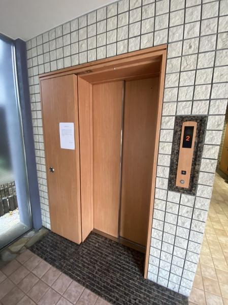 パレビバス