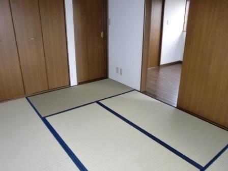 ハウスハイグレード２