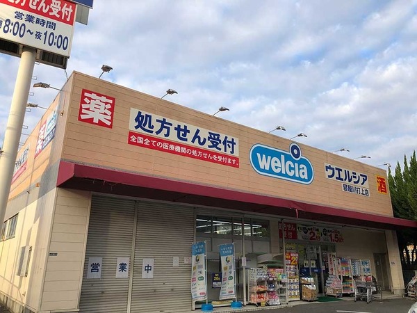 タイセイパレス寝屋川公園(ウェルシア寝屋川打上元町店)