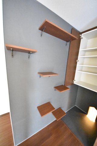 CASAMIOAOTANI