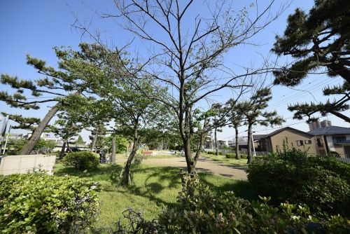 パインヒル六甲(石屋川公園)