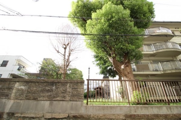 富士ビル(現地からの眺望)