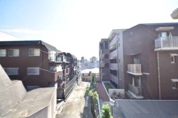 ヒルズ(現地からの眺望)