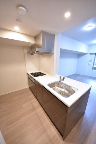 ワコーレザ・神戸旧居留地レジデンスタワー(キッチン)