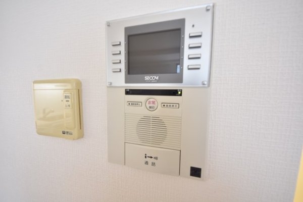 ドルフブランシュ・ブルー