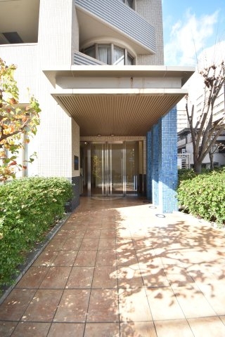 ドルフブランシュ・ブルー