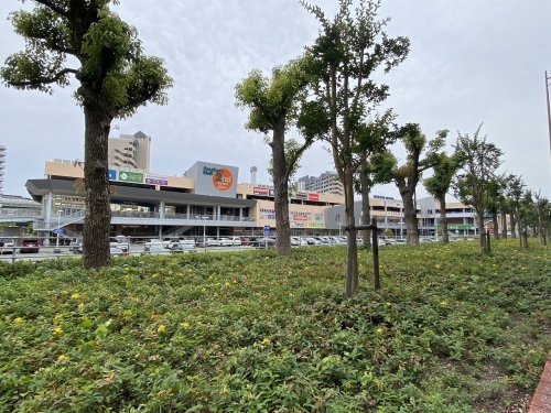 神戸市東灘区御影塚町３丁目のマンション(業務スーパーサザンモール六甲店)