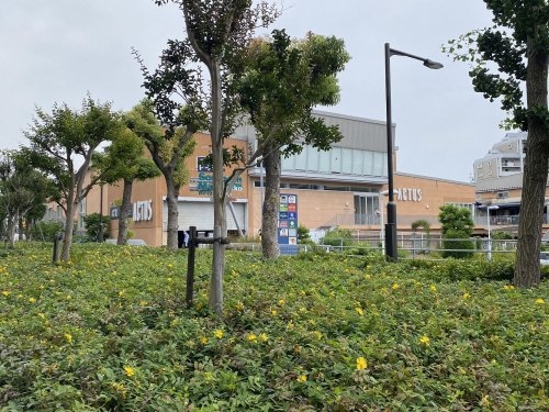 神戸市東灘区御影塚町３丁目のマンション(サザンモール六甲)