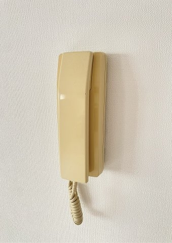 チューティパット