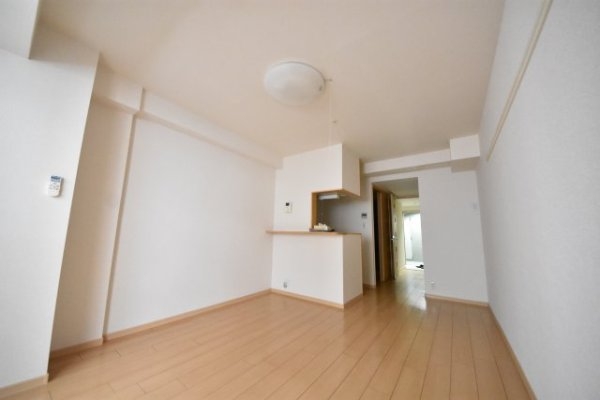 プラチナコート