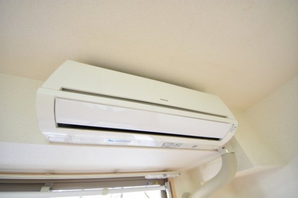 プラチナコート