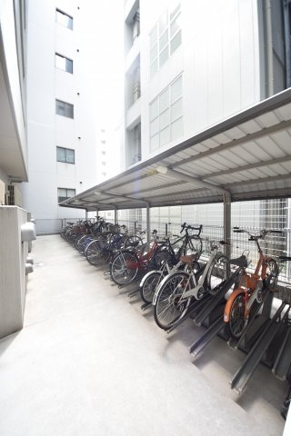 プラチナコート