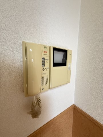 パンプキンC