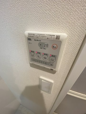 アルカディア