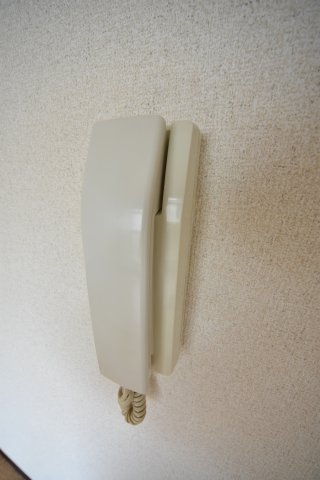 シャルムMITI