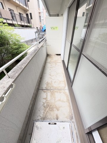 マローネンバウム