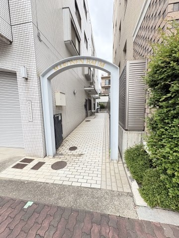 マローネンバウム