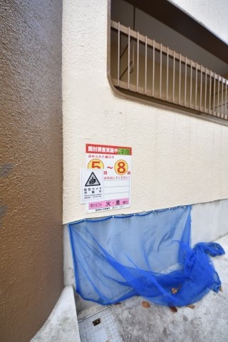 グリーンマンション
