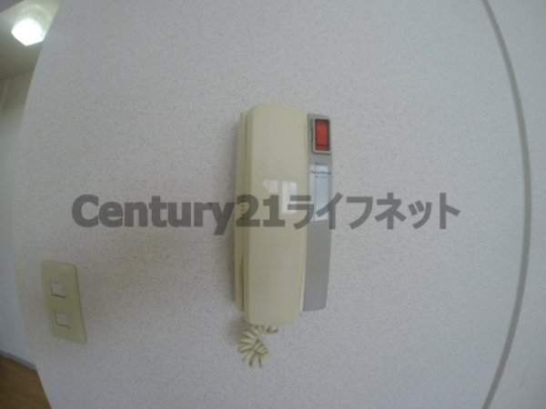 パナハイツアミジマ