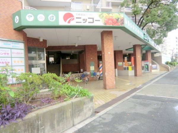 ハイツパイン(生鮮食品ニッコー)
