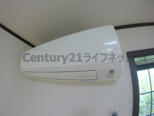 ハイツパイン