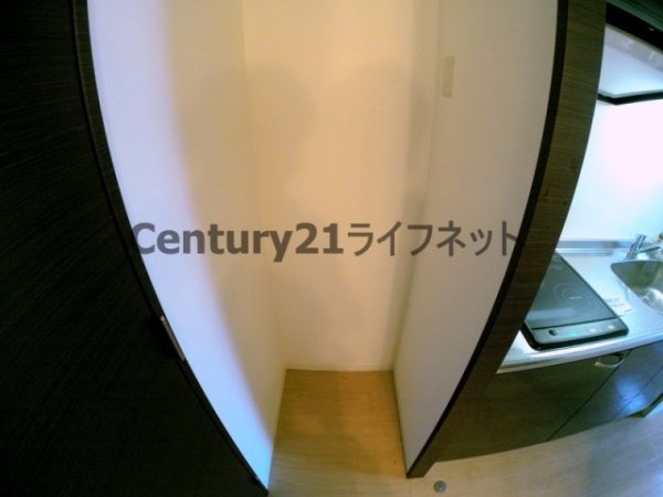 アリーヴィオ
