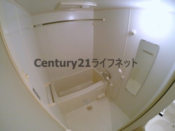 アリーヴィオ