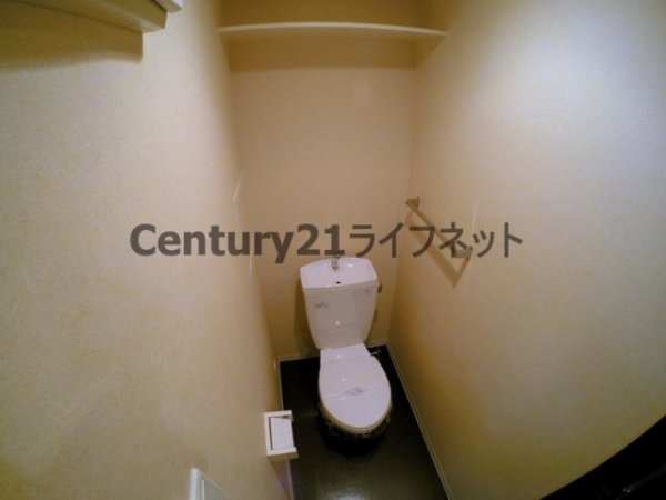 アリーヴィオ